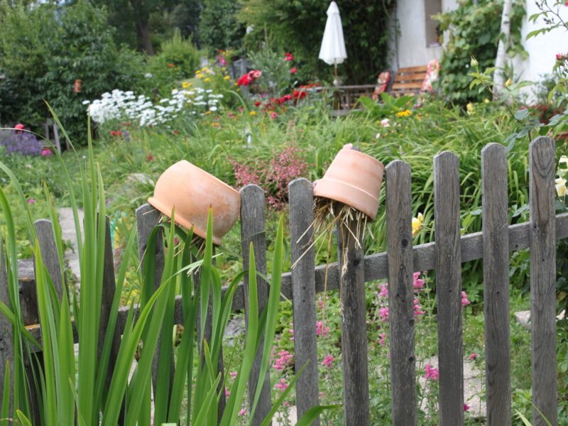 Zaun im Garten mit Blumentopfen